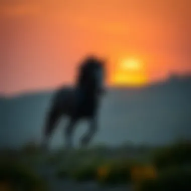 Magnificent 바카라 배당의 이해와 전략