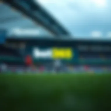 Magnificent bet365 로그인 및 사용자 가이드 Magnificent bet365 로그인 및 사용자 가이드