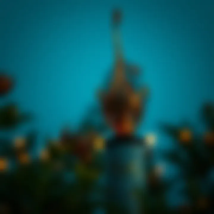 Magnificent 경마 베팅 배당률의 이해