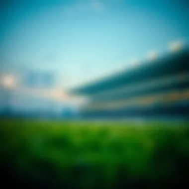 배당률 계산기: 베팅의 기본과 활용 Summary 배당률 계산기: 베팅의 기본과 활용 Summary