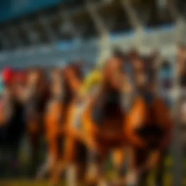 A group of racehorses at the starting gate