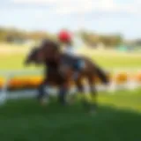 A stunning racehorse galloping on the track