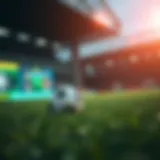 Betmotion platform overview