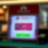 An illustration demonstrating the PaySafeCard interface for deposits