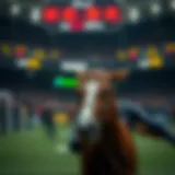 카지노 로즈의 매력: 베팅의 새로운 패러다임 Introduction