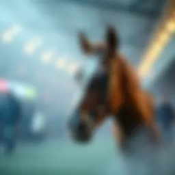 온라인 베팅 게임의 세계 Introduction