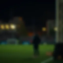 온라인 스포츠 베팅의 진정한 이해 Introduction