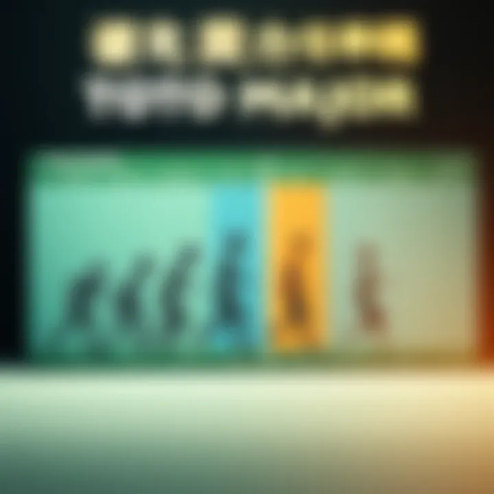 The Evolution of Toto Major Over Time Infographic showing the evolution of Toto Major